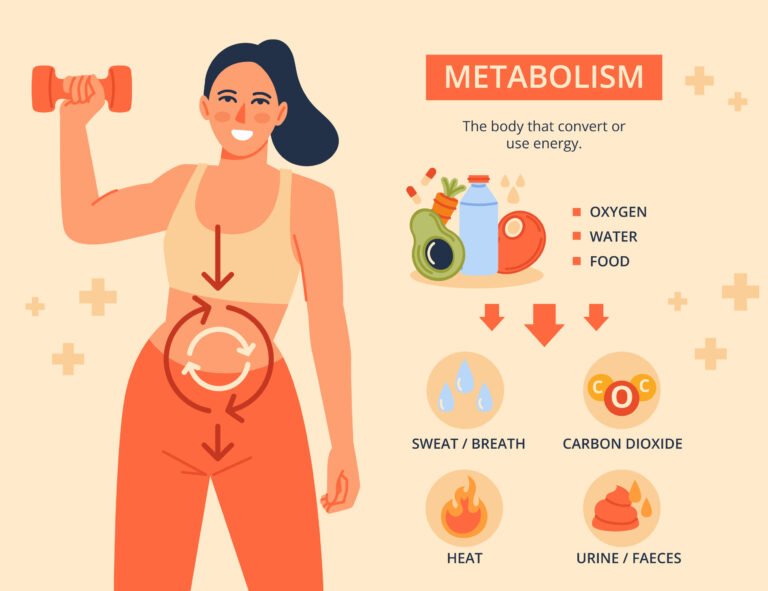 what is the 2 2 2 method metabolism?